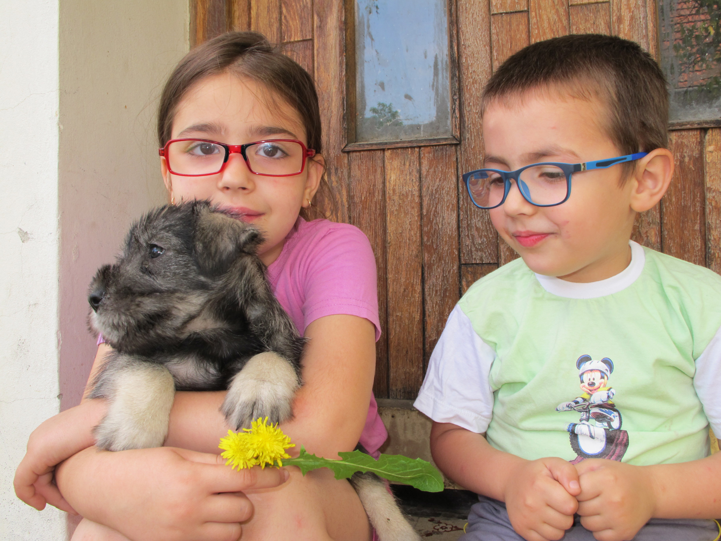 Children & schnauzer puppy